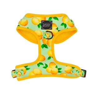 ✨SALE✨ NWOT SASSY WOOF 🍋 HARNESS